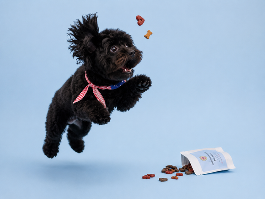 Fruity Mix Dog Treats