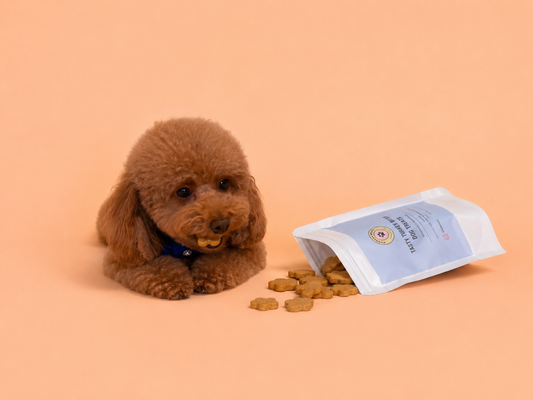 Tasty Turkey Bites Dog Treats