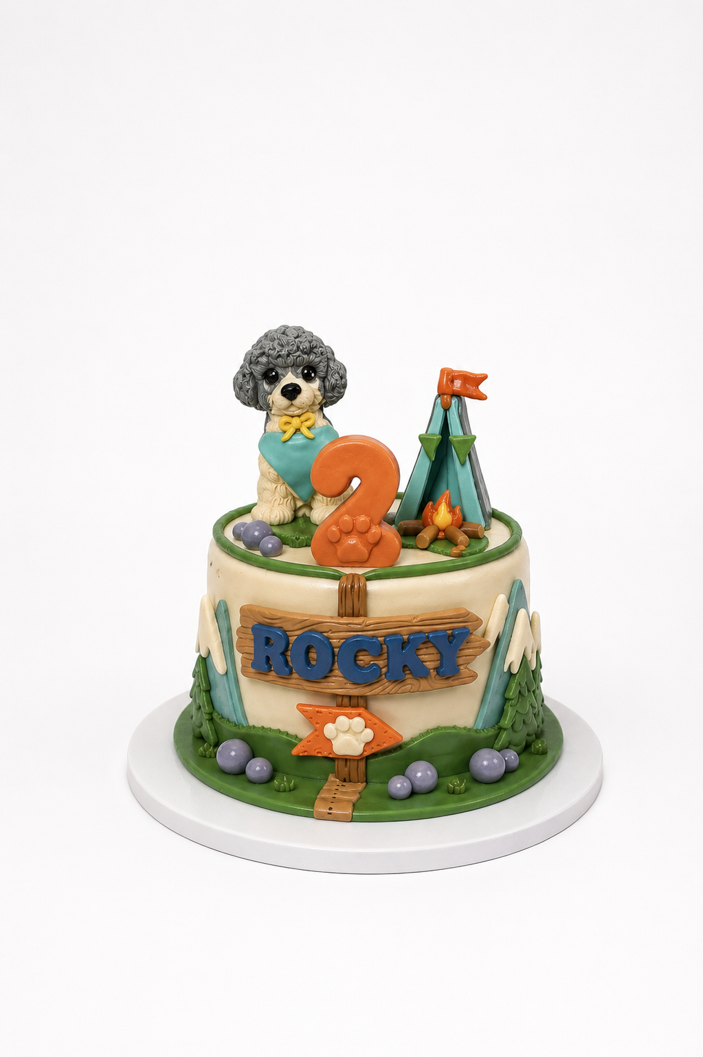 Custom Dog Cake Order